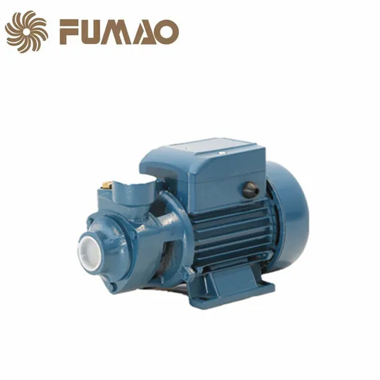 Durable Centrifugal Electric Water Pump for Reliable Water Transportation